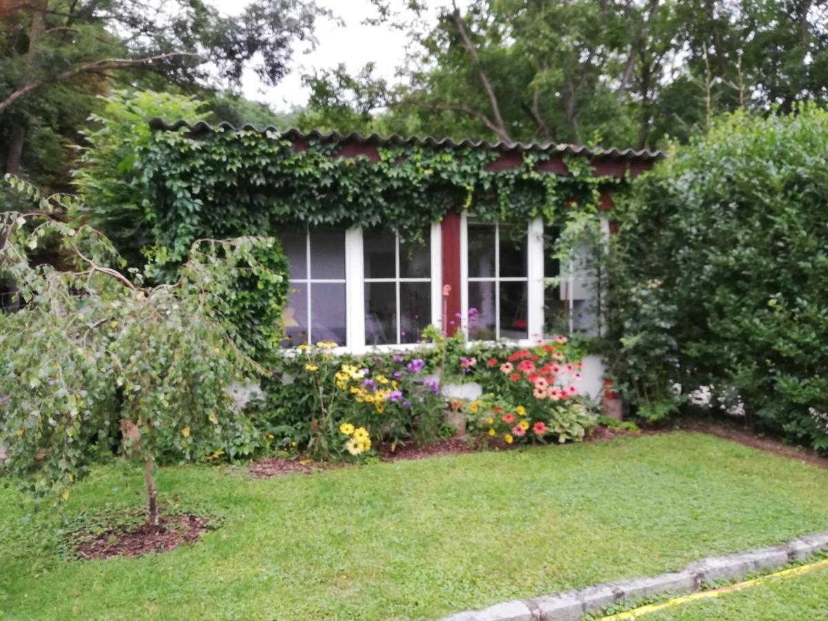 הוילה Loosdorf Ferienhaeuschen Gruber מראה חיצוני תמונה